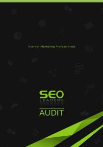 Seo Audit 1