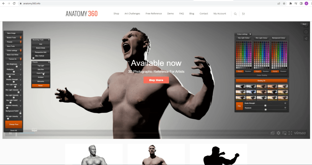Anatomy 360 - SEO Leaders
