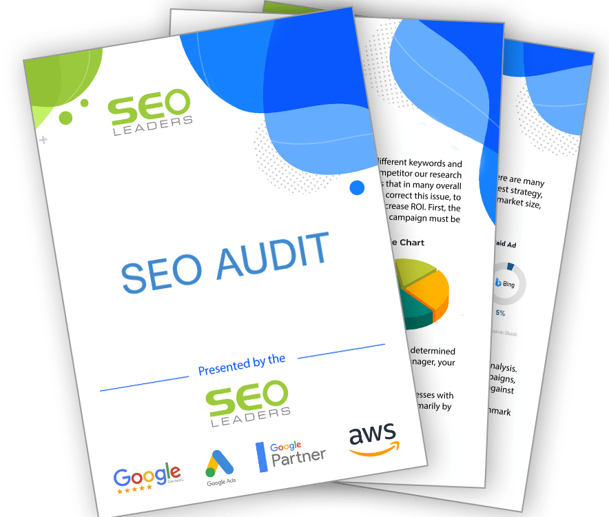 seo audit